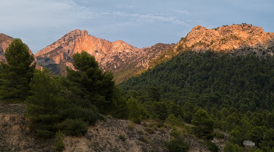 3 rutas de bicicleta de montaña en Alicante